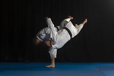 Illustration de Le Judo